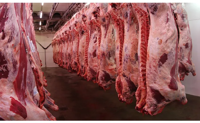 81.Faena---Nuevo-sistema-de-control