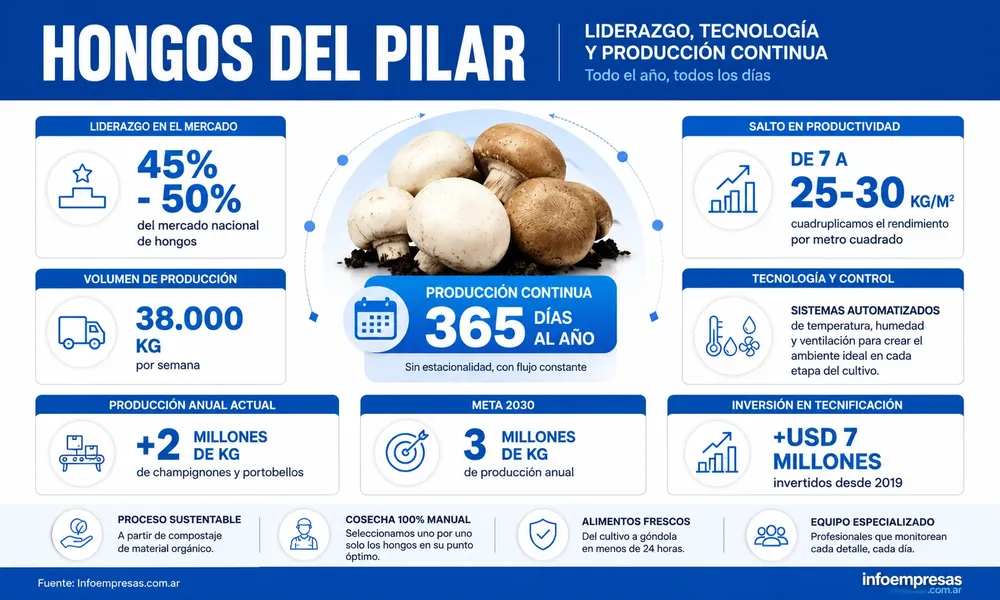 51.Producción-de-hongos
