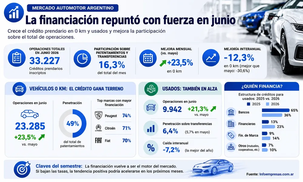 imagen (7)