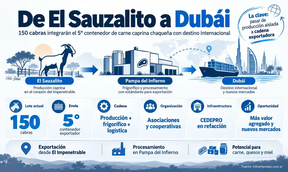 De El Sauzalito a Dubái_ Cadena Exportadora