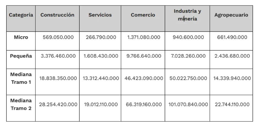 21.Mipyme-categorías