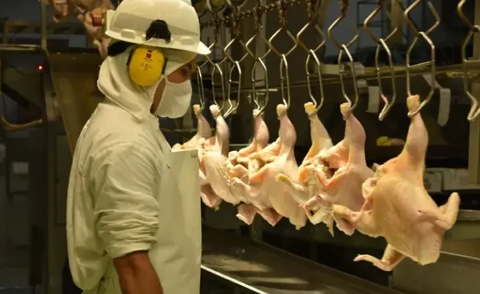 31.Granja-tres-arroyos-gal