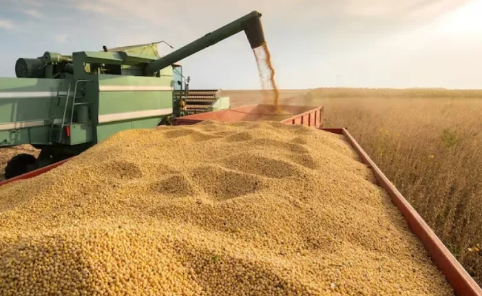 104.Soja-libre-de-desforestación