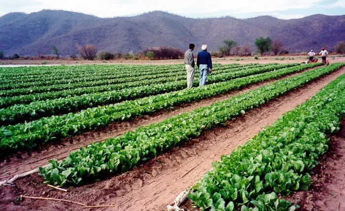 54.Economías-Regionales-gal