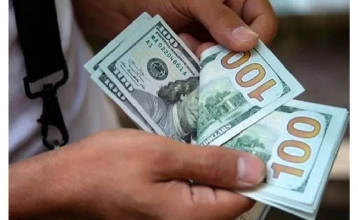 El-dolar-flota