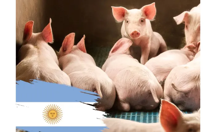 1.Cerdo