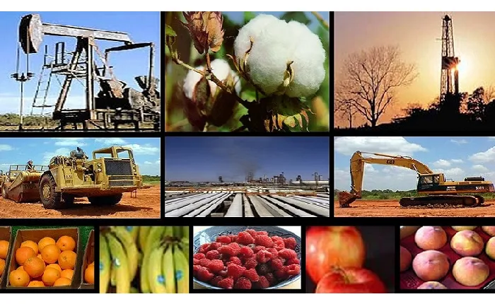 66.Actividad-Económica-gal