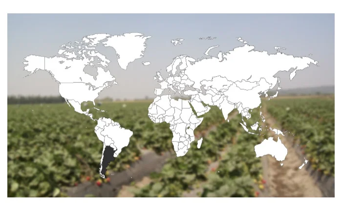 56.Mapa-de-las-exportaciones-gal