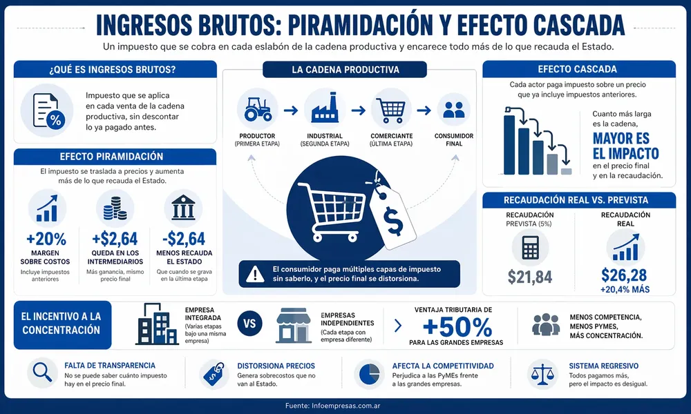 55.Ingresos Brutos