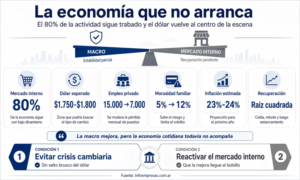 16.Esteban Domecq - Artículo 1