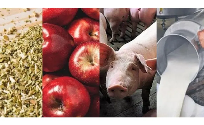 35.Economías-Regionales