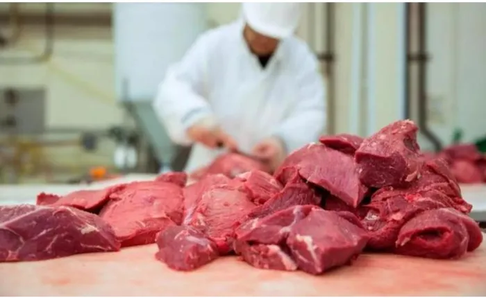 28.Carne